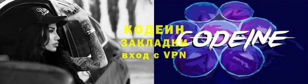 спиды Арсеньев