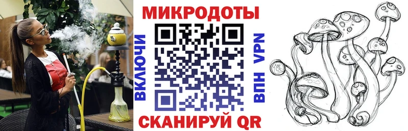 цена наркотик Валдай Галлюциногенные грибы MAGIC MUSHROOMS